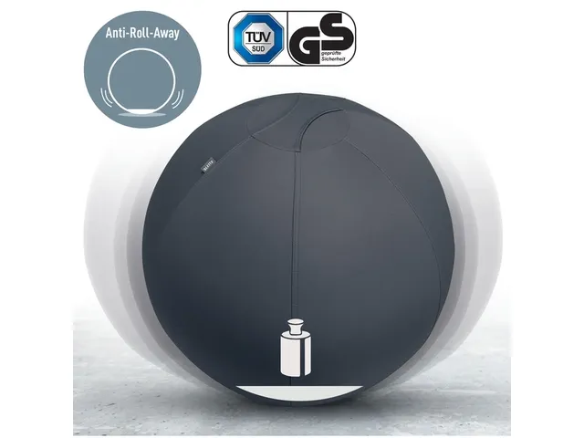 Leitz Ergo Actieve Zitbal anti-rol 75cm Donkergrijs