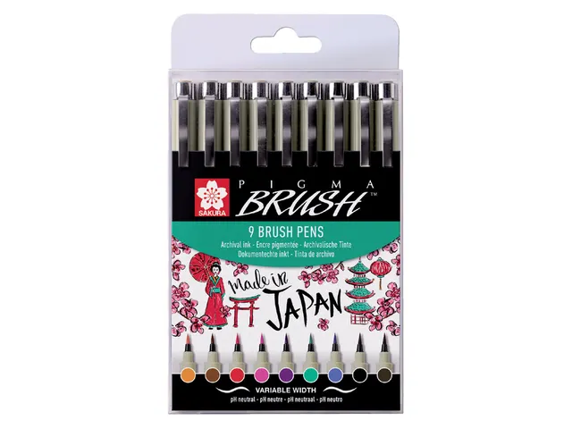 Viltstift met brushpen Bruynzeel Sakura Pigma etui 9 kleuren assorti
