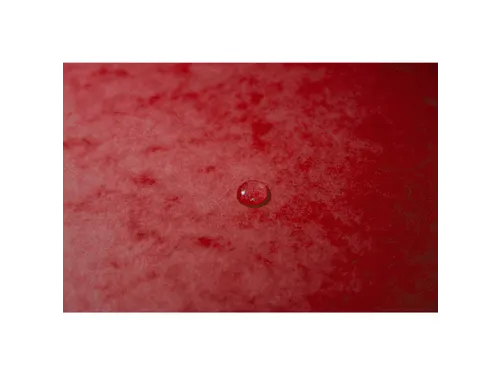 Elastomap Maxi capacity glanskarton 425gm² A4 Rood