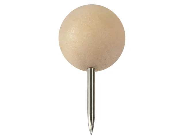 Punaises Nobo hout voor memobord 40 stuks