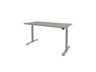 Dextro Basic Zit-sta Bureau Elektrisch 120x80 Grijs 25mm Alu - 1