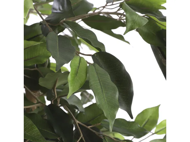 Kunstplant Mica Ficus groen in pot 85x150cm