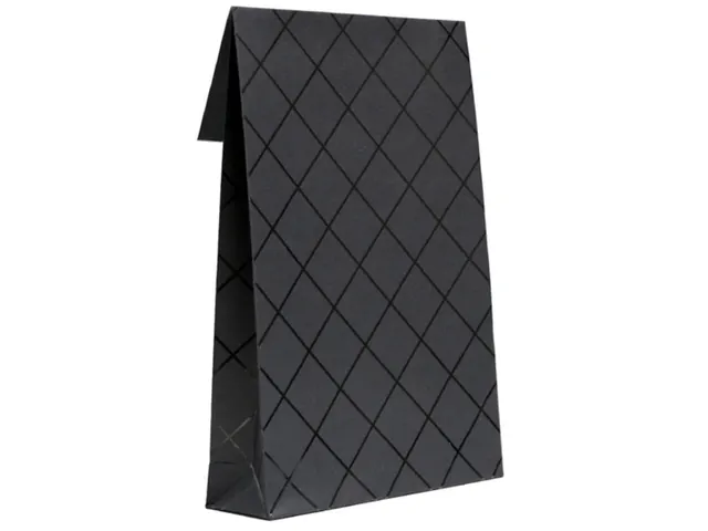Rotolux Cadeauzakjes Square S Zwart 14x5,5x23cm 40 stuks