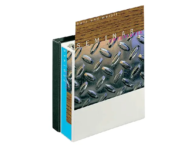 Presentatie Ringband Esselte 4 rings A4 40mm D-mech Panorama Wit