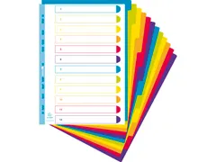 Tabbladen A4+ PP Assorti Campus Doorschijnend 12-Delig 11-Gaats