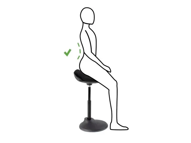 FLEXY ergonomische stauhulp zwart