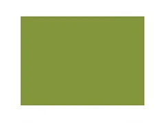 Duni Placemats 30x40cm Papier Leaf Green 4x250 stuks