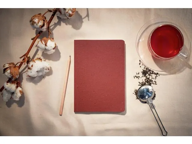 Carnet de notes Re-Up A5 ligne rouge SC 100pag 100g