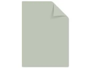 Papier Kangaro A4 160 grams pastel grijs pak 50 vel - 1