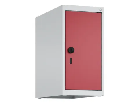 opzetkast,v. locker,1vak.,vak B 250mm,HxBxD 500x250x500mm,vleugeldeur