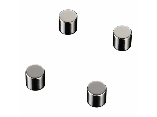 Glasbordmagneten Naga 10x10xmmcylinder set a 4st. zilver