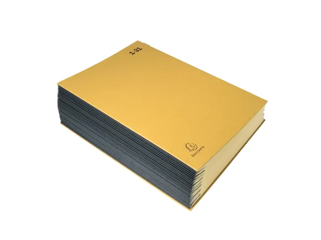 Sorteermap Ordonator 31vak 1- 31 bruin