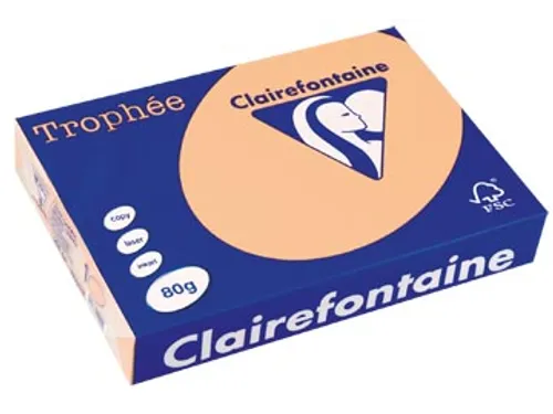 Trophée Pastel gekleurd papier A4 80 gram 500vel Zalm