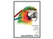 Tekenblok Aurora A4 20 vel 250 gram Steinbach papier