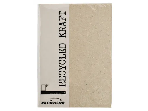 Kopieerpapier Papicolor A4 220gr 6 vel kraft grijs