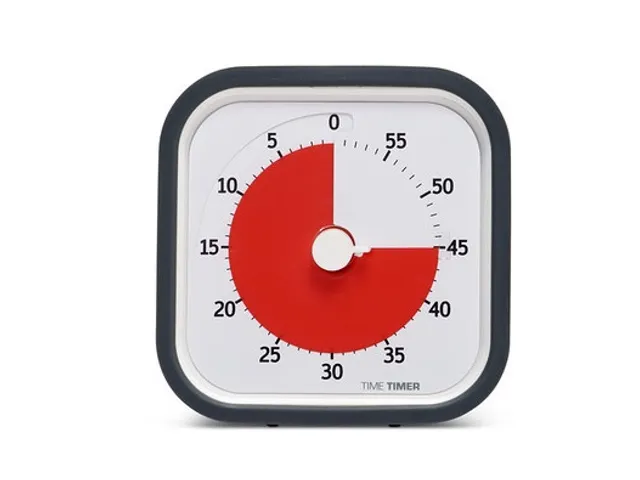 Time Timer MOD home