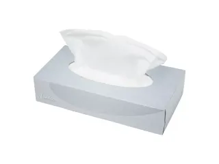 Facial Tissues 142040 2-Laags 40x100 vel - 1