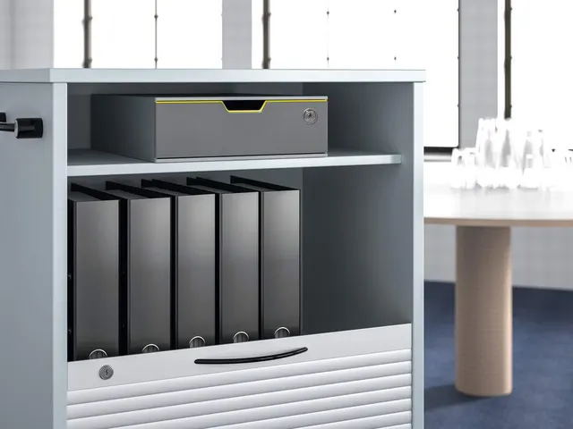 Durable Ladebox VARICOLOR 1 safe afsluitbaar