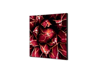 Wanddecoratie Textiel Set 40x40cm Cactus Rood - 1