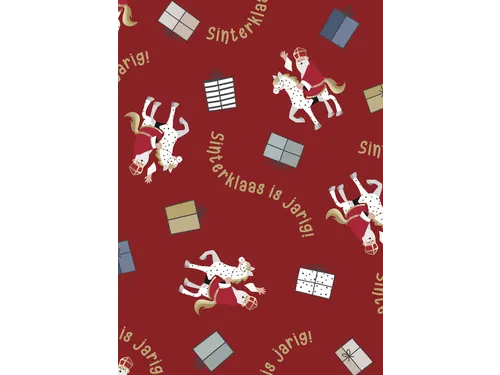 Haza Inpakpapier Sint en Co 200x70cm assorti