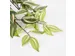 Kunstplant Mica Tradescantia hangend groen 45x25cm