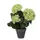 Kunstplant Mica Hortensia in pot groen 35x40cm
