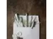 Stylo plume Calligraphie Schneider Callissima Menthe 1,8mm