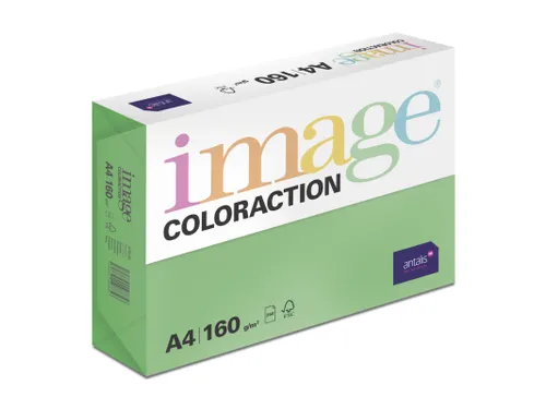 Kopieerpapier Dublin Donkergroen A4 160 Gram 250 Vel