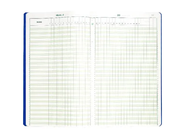Piqûre 40x24cm - Pointage 46 lignes 80 pages - Couleurs assorties