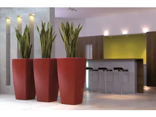 plantenpot,trapeziumvormig,PE,robijnrood,HxBxD 1300x675x675mm,100l - 2