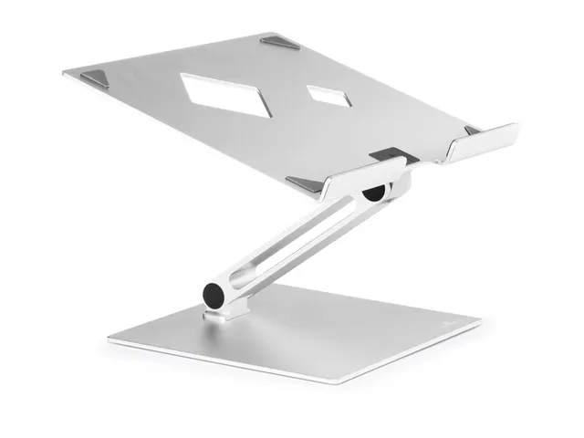 Laptop standaard Durable RISE