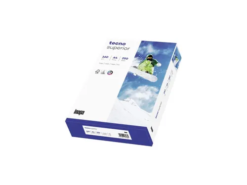 Inapa Tecno Superior Kopieerpapier A4 160 Gram 250 Vel