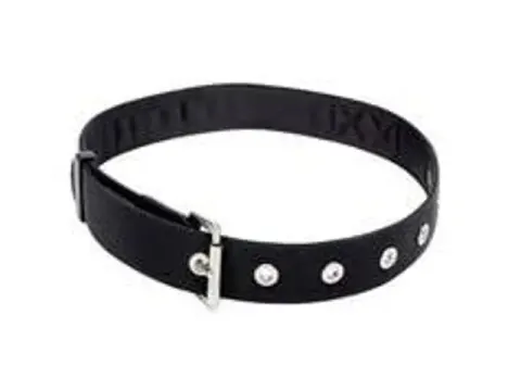 Capital Safety draagriem 1500113 maat S-L 71 cm-116 cm