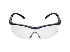 Veiligheidsbril Arco Essential helder doos 12 stuks