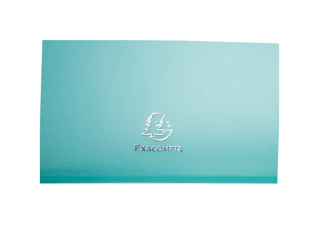 Boite de classement Exabox Dos 25mm Polypropylène 7/10e Chromaline pa