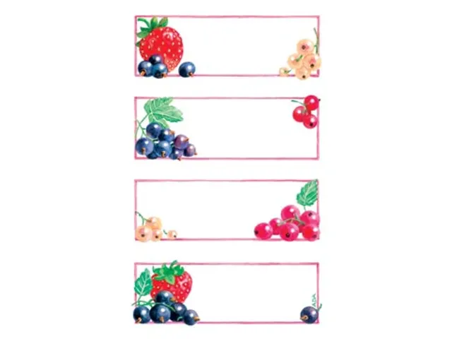 Avery étiquettes ménagères, blister de 3 feuilles, 12 étiquettes