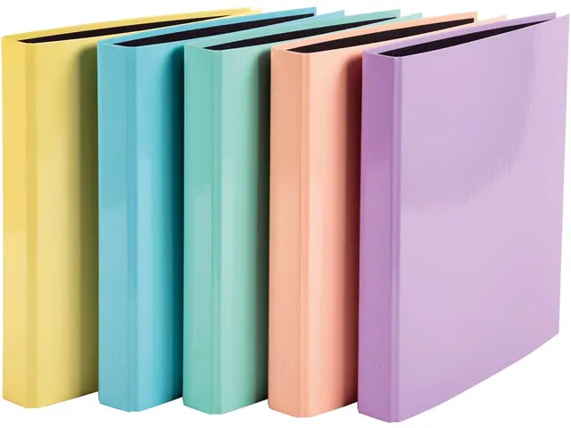 Aquarel Ringmap A4 2 Rings D-mech 25mm assorti