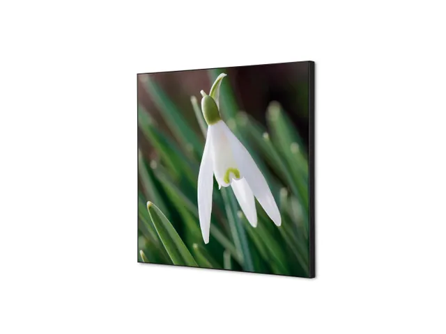 Wanddecoratie Textiel Set 40x40cm Witte Bloem Sneeuwklokje