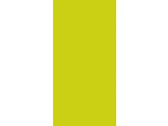 Duni Servet Kiwi groen 33x33cm 1/8 vouw 2-laags 1200 Stuks