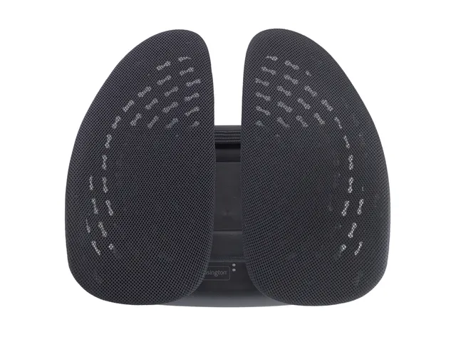 Rugsteun Kensington smartfit zwart