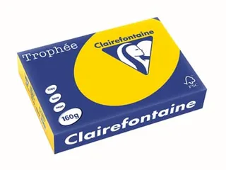 Trophée Pastel gekleurd papier A4 160 gram 250vel Goudgeel - 2