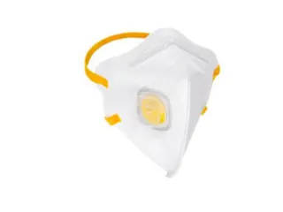 Bx15 Rsg 202435 Dust Mask Ffp3 - 1