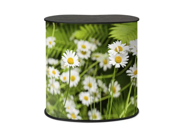 Balie Counter Professional Original M met Zwart Tafelblad