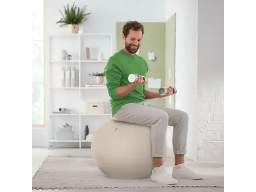 Leitz Ergo actieve zitbal anti-rol met stop-functie 75cm lichtgrijs