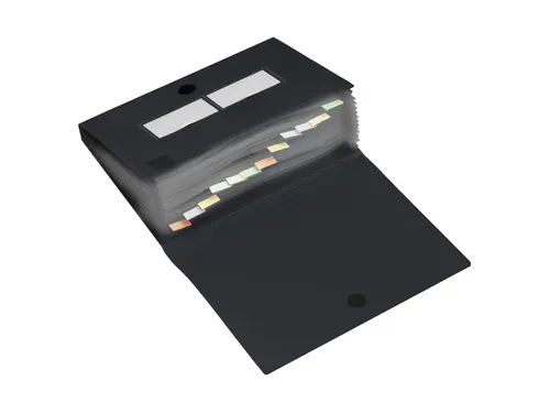 Sorteermap HF2 A4 12 vakken antraciet PP
