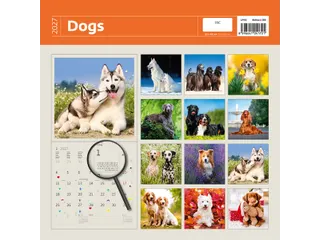 Kalender 2027 Helma 365 30x30cm honden - 3
