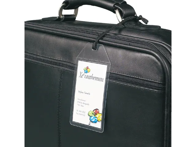 3L Bagage Label Zelf-laminerend 11120 72x123mm 10 Stuks