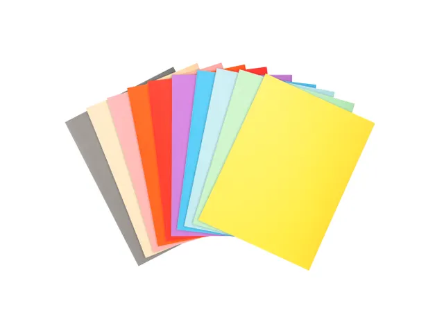 Pak van 100 dossiermappen FOREVER 250 100% Gerecycleerd Assorti