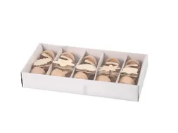 Memoclip Creativ Company 5 x 2 stuks assorti