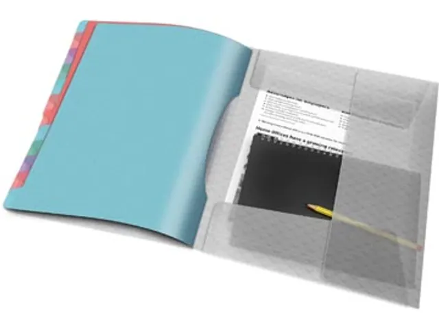 Colour'Breeze sorteermap PP A4 12 tabs assorti